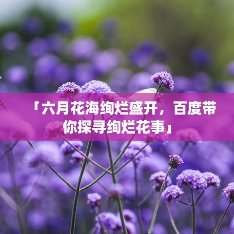 「六月花海绚烂盛开，百度带你探寻绚烂花事」