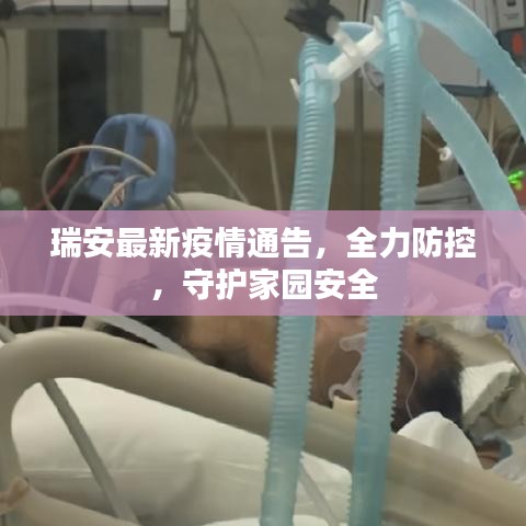 瑞安最新疫情通告，全力防控，守护家园安全