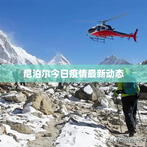 尼泊尔今日疫情最新动态