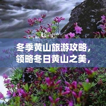冬季黄山旅游攻略，领略冬日黄山之美，尽享绝美风光！