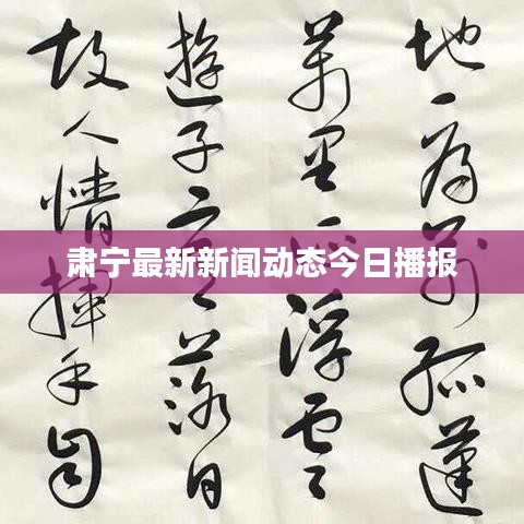 肃宁最新新闻动态今日播报
