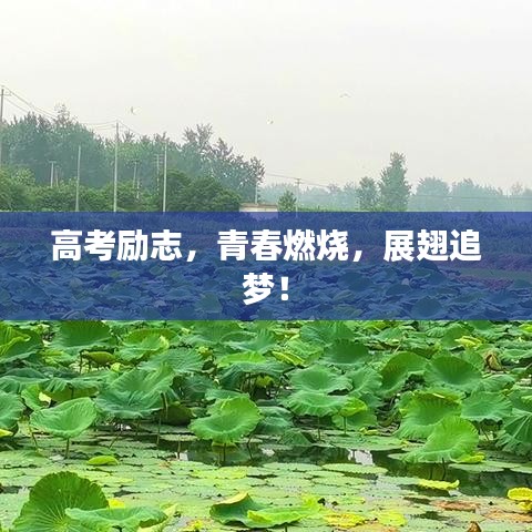 高考励志，青春燃烧，展翅追梦！