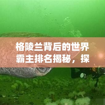 格陵兰背后的世界霸主排名揭秘，探寻背后的故事