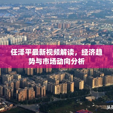 任泽平最新视频解读，经济趋势与市场动向分析