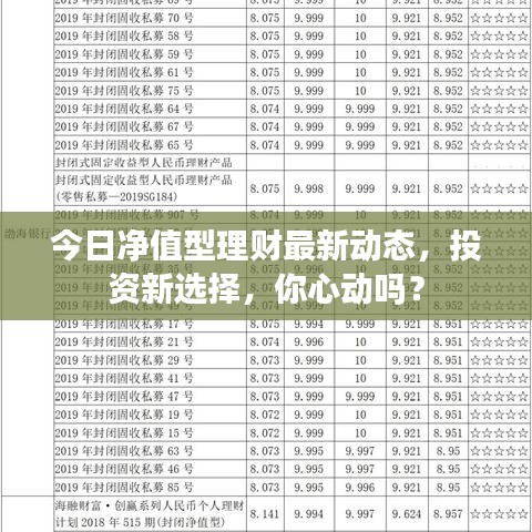 今日净值型理财最新动态，投资新选择，你心动吗？