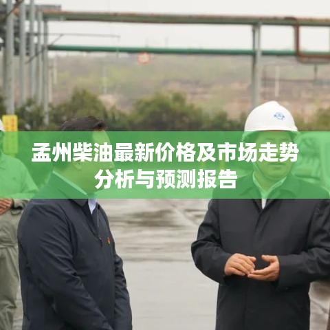 孟州柴油最新价格及市场走势分析与预测报告