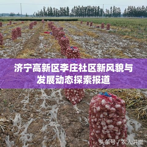 济宁高新区李庄社区新风貌与发展动态探索报道