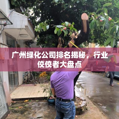 广州绿化公司排名揭秘，行业佼佼者大盘点