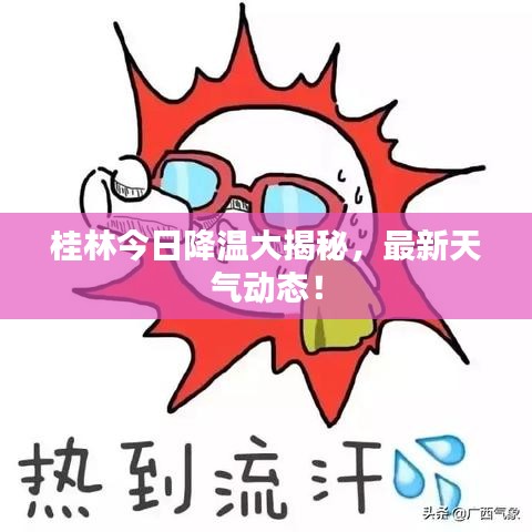 桂林今日降温大揭秘，最新天气动态！