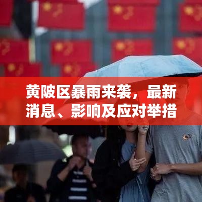 黄陂区暴雨来袭，最新消息、影响及应对举措全解析