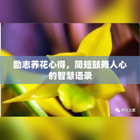 励志养花心得，简短鼓舞人心的智慧语录