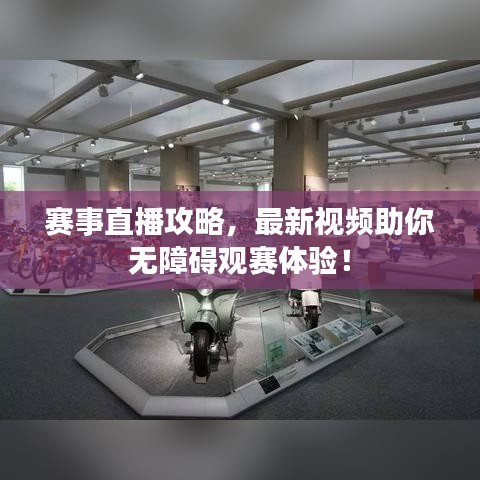 赛事直播攻略，最新视频助你无障碍观赛体验！