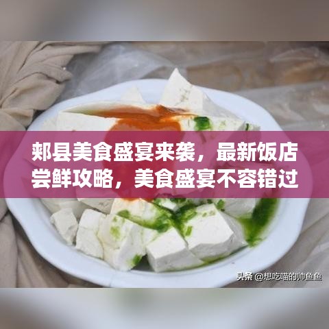 郏县美食盛宴来袭，最新饭店尝鲜攻略，美食盛宴不容错过