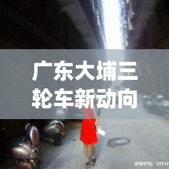 广东大埔三轮车新动向，探索当地交通变革，新闻头条瞩目