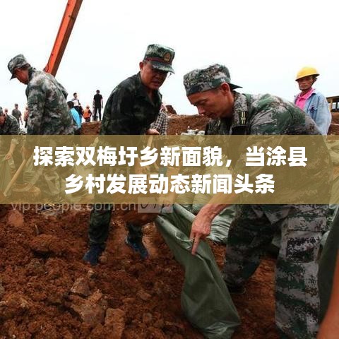 探索双梅圩乡新面貌，当涂县乡村发展动态新闻头条