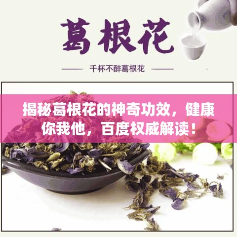 揭秘葛根花的神奇功效，健康你我他，百度权威解读！