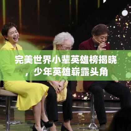 完美世界小辈英雄榜揭晓，少年英雄崭露头角