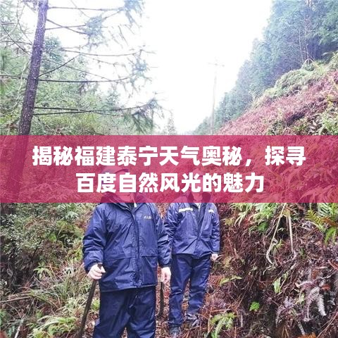 揭秘福建泰宁天气奥秘，探寻百度自然风光的魅力
