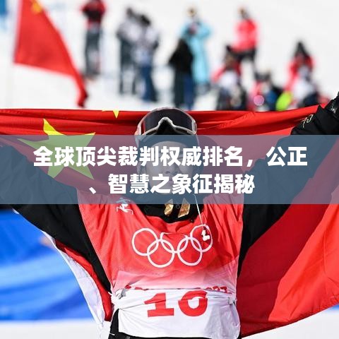 全球顶尖裁判权威排名，公正、智慧之象征揭秘