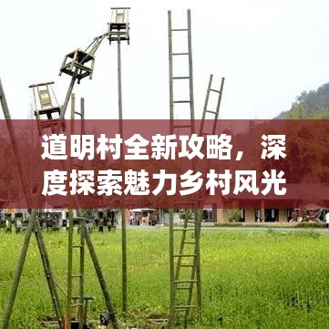 道明村全新攻略，深度探索魅力乡村风光