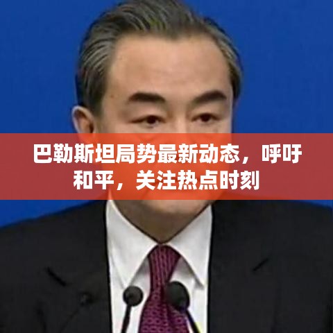 巴勒斯坦局势最新动态，呼吁和平，关注热点时刻