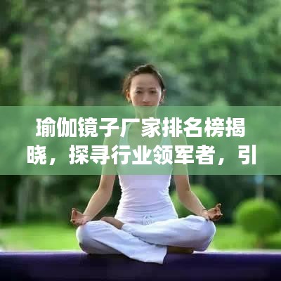 瑜伽镜子厂家排名榜揭晓，探寻行业领军者，引领健康生活新潮流