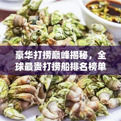 豪华打捞巅峰揭秘，全球最贵打捞船排名榜单揭晓！