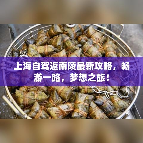 上海自驾返南陵最新攻略，畅游一路，梦想之旅！