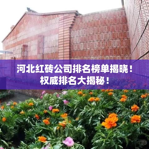 河北红砖公司排名榜单揭晓！权威排名大揭秘！
