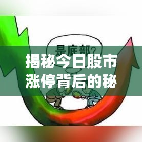 揭秘今日股市涨停背后的秘密，最新涨停股分析与解读
