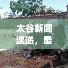 太谷新闻速递，最新动态与发展趋势探索