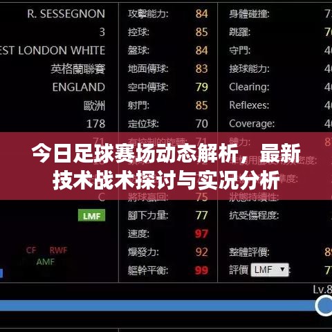 今日足球赛场动态解析，最新技术战术探讨与实况分析