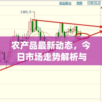 农产品最新动态，今日市场走势解析与热点分析，未来展望揭秘