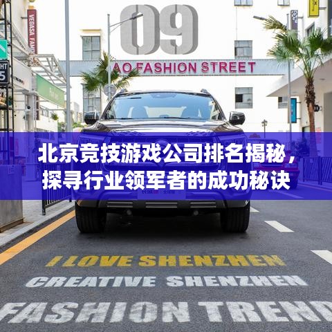 北京竞技游戏公司排名揭秘，探寻行业领军者的成功秘诀