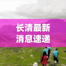 长清最新消息速递，今日头条全掌握