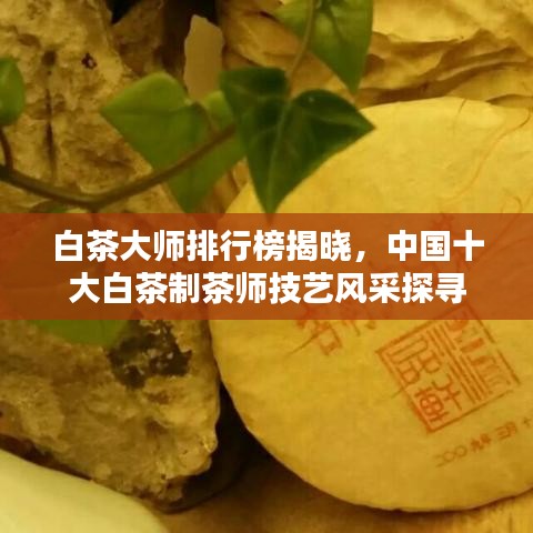 白茶大师排行榜揭晓，中国十大白茶制茶师技艺风采探寻