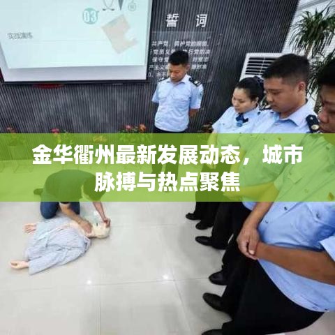 金华衢州最新发展动态，城市脉搏与热点聚焦