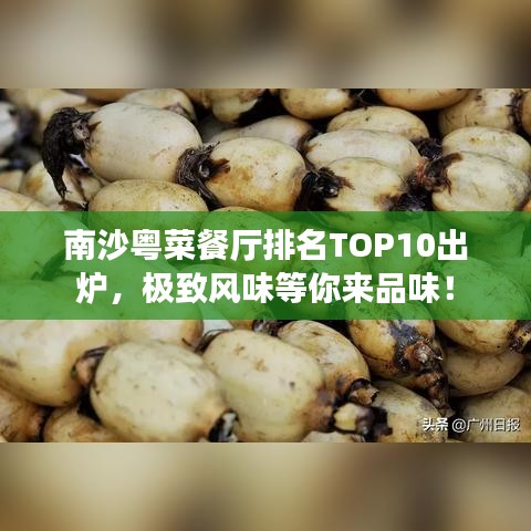 南沙粤菜餐厅排名TOP10出炉，极致风味等你来品味！