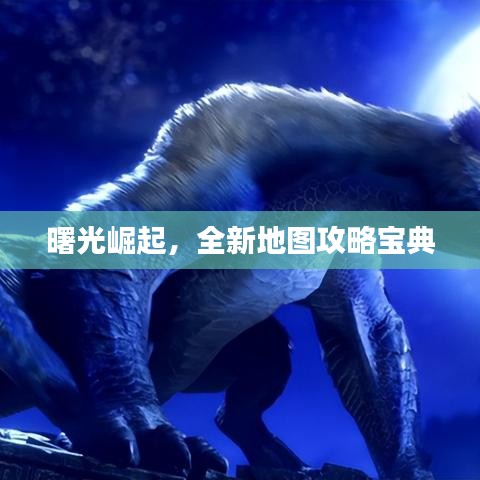 曙光崛起，全新地图攻略宝典