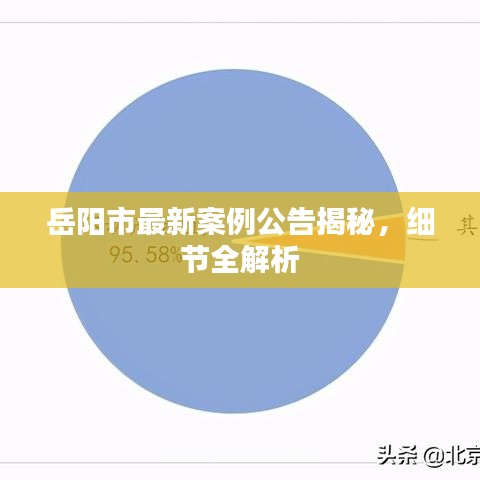 岳阳市最新案例公告揭秘，细节全解析