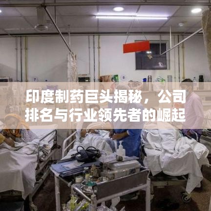 印度制药巨头揭秘，公司排名与行业领先者的崛起之路