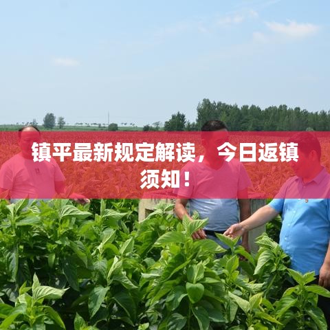 镇平最新规定解读，今日返镇须知！