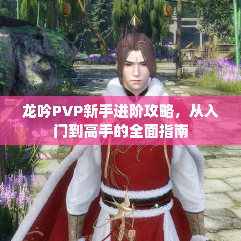 龙吟PVP新手进阶攻略，从入门到高手的全面指南