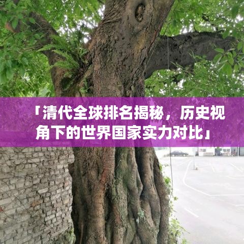 「清代全球排名揭秘，历史视角下的世界国家实力对比」