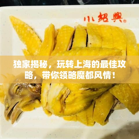 独家揭秘，玩转上海的最佳攻略，带你领略魔都风情！
