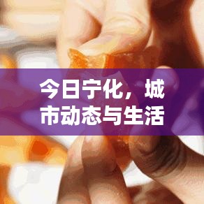 今日宁化，城市动态与生活点滴最新消息速递
