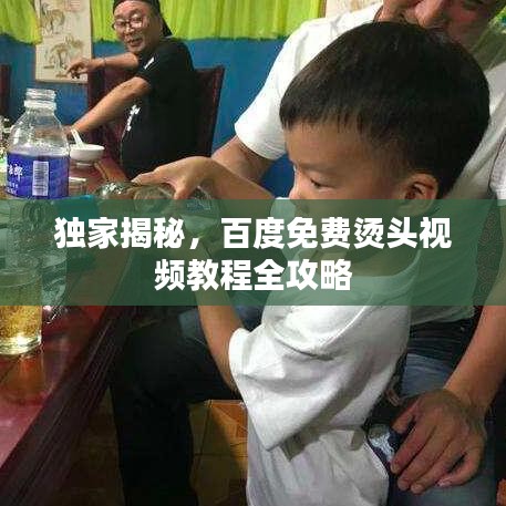 独家揭秘，百度免费烫头视频教程全攻略