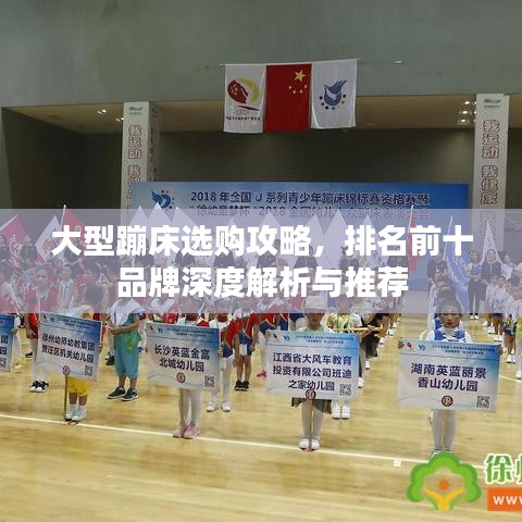 大型蹦床选购攻略，排名前十品牌深度解析与推荐