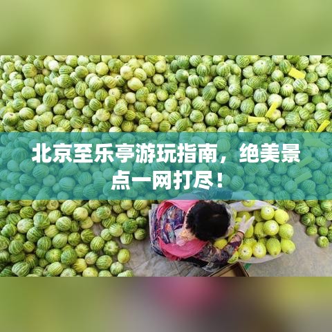 北京至乐亭游玩指南，绝美景点一网打尽！