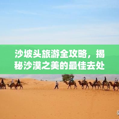 沙坡头旅游全攻略，揭秘沙漠之美的最佳去处！